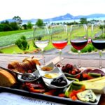 Travel Destinations for Wine Lovers